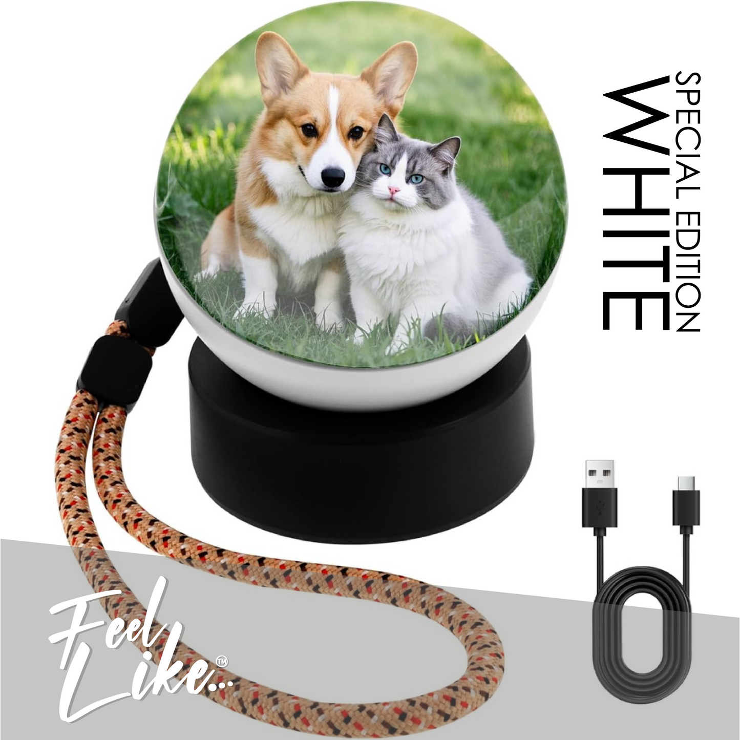 Capture Sphere - The original sphere that captures and preserves your favorite creations